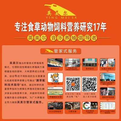 飼料與飼料添加劑 現(xiàn)代畜牧業(yè)的營養(yǎng)基石與科技支撐