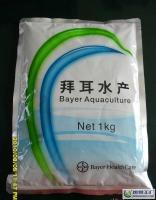 拜速盈 苗種培育期抗應(yīng)激利器，顯著提升成活率與養(yǎng)殖效益
